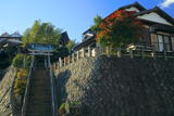 鎌倉台下町 紅葉の神明神社