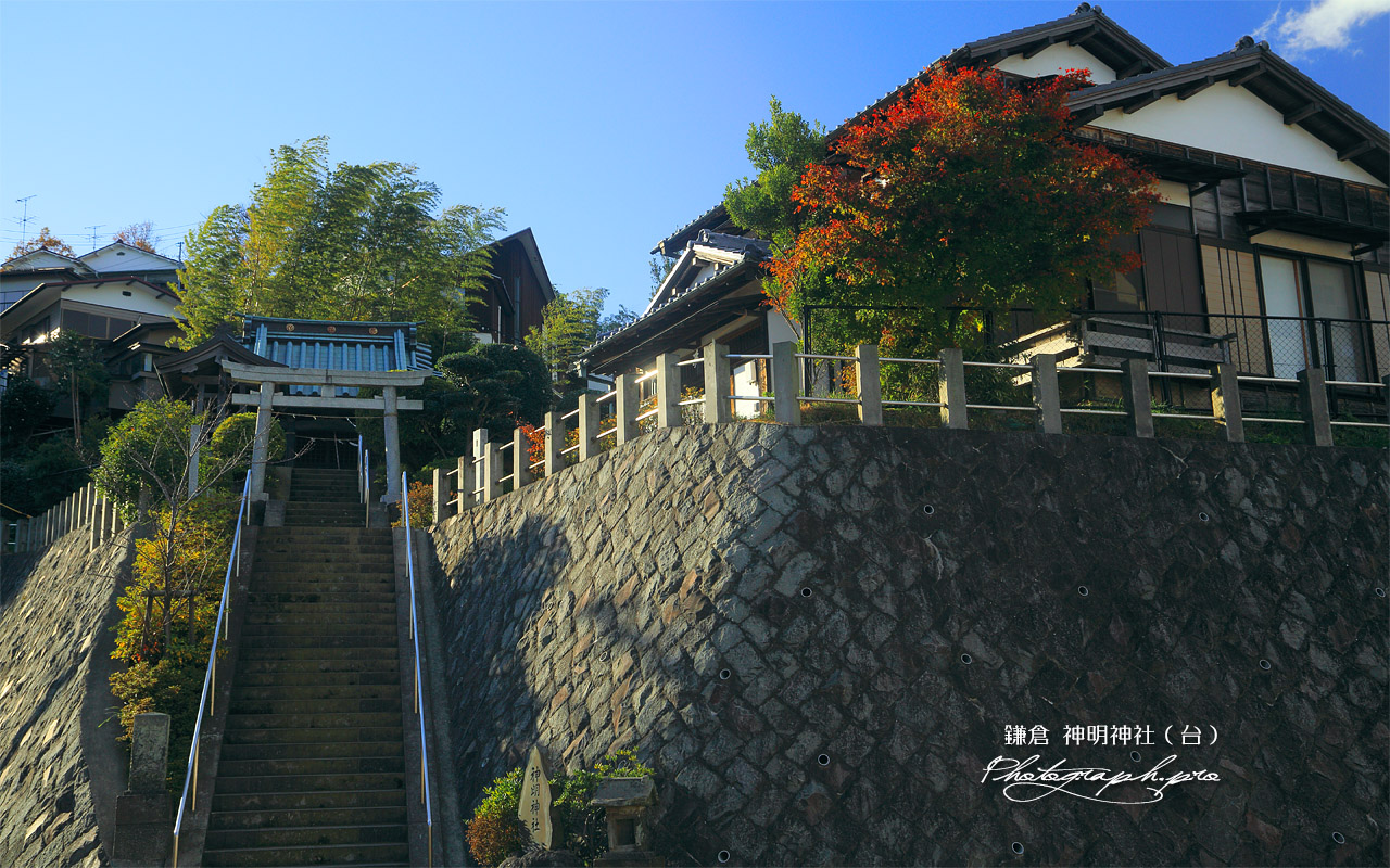 鎌倉台下町 紅葉の神明神社 壁紙