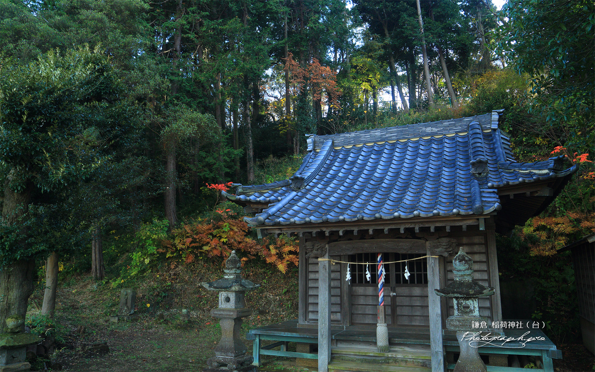 鎌倉台上町 雑木紅葉の稲荷神社