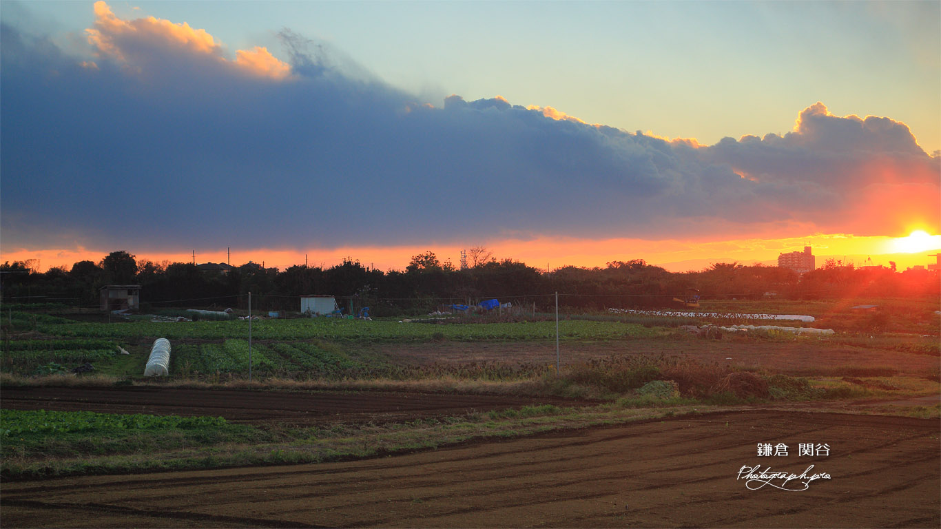 鎌倉 関谷農地の時雨夕陽 壁紙