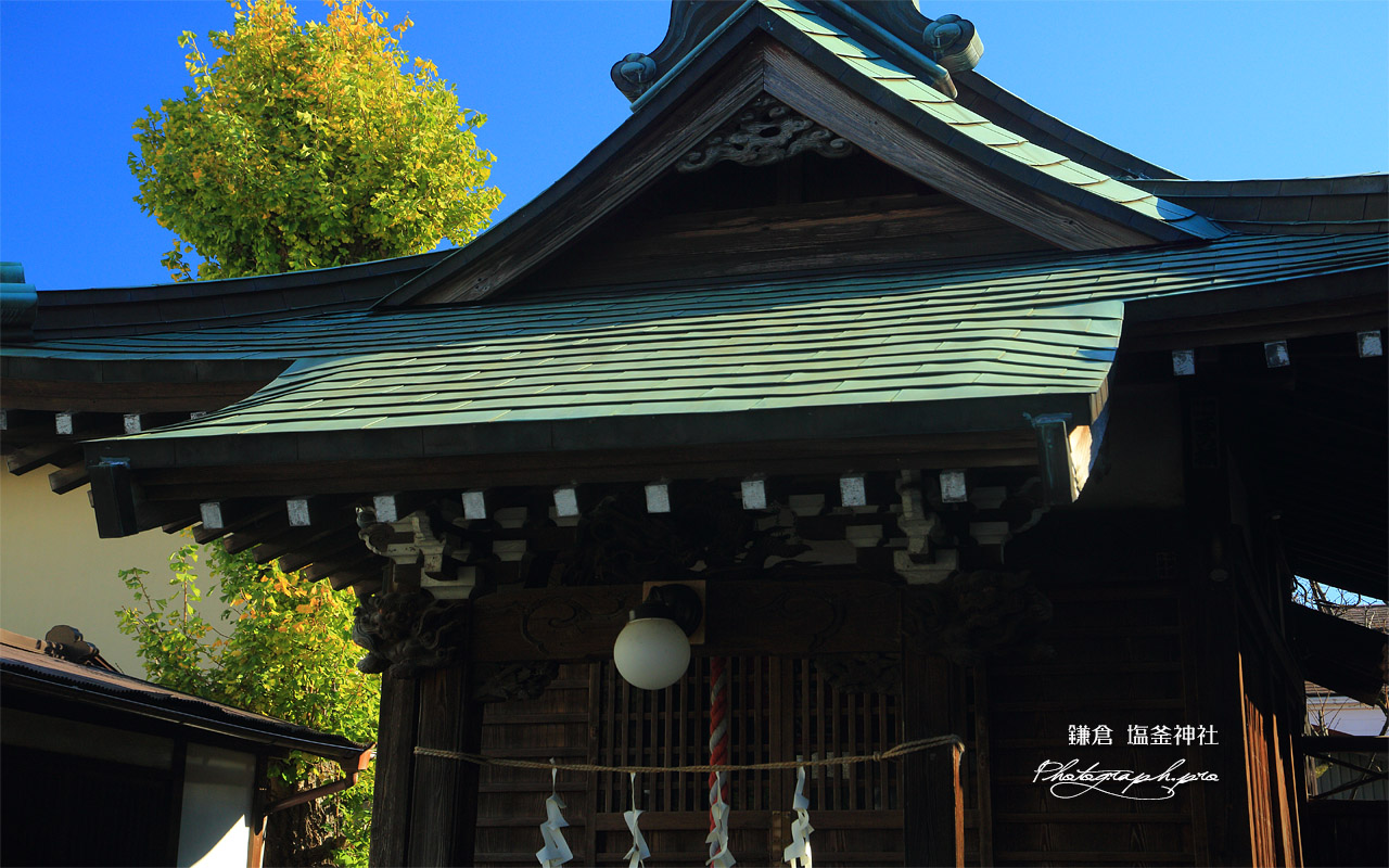 鎌倉台下町 塩釜神社の公孫樹黄葉 壁紙