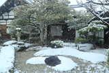 相国寺慈雲院 雪降る前庭