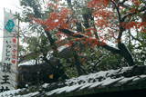護王神社 雪もみじ