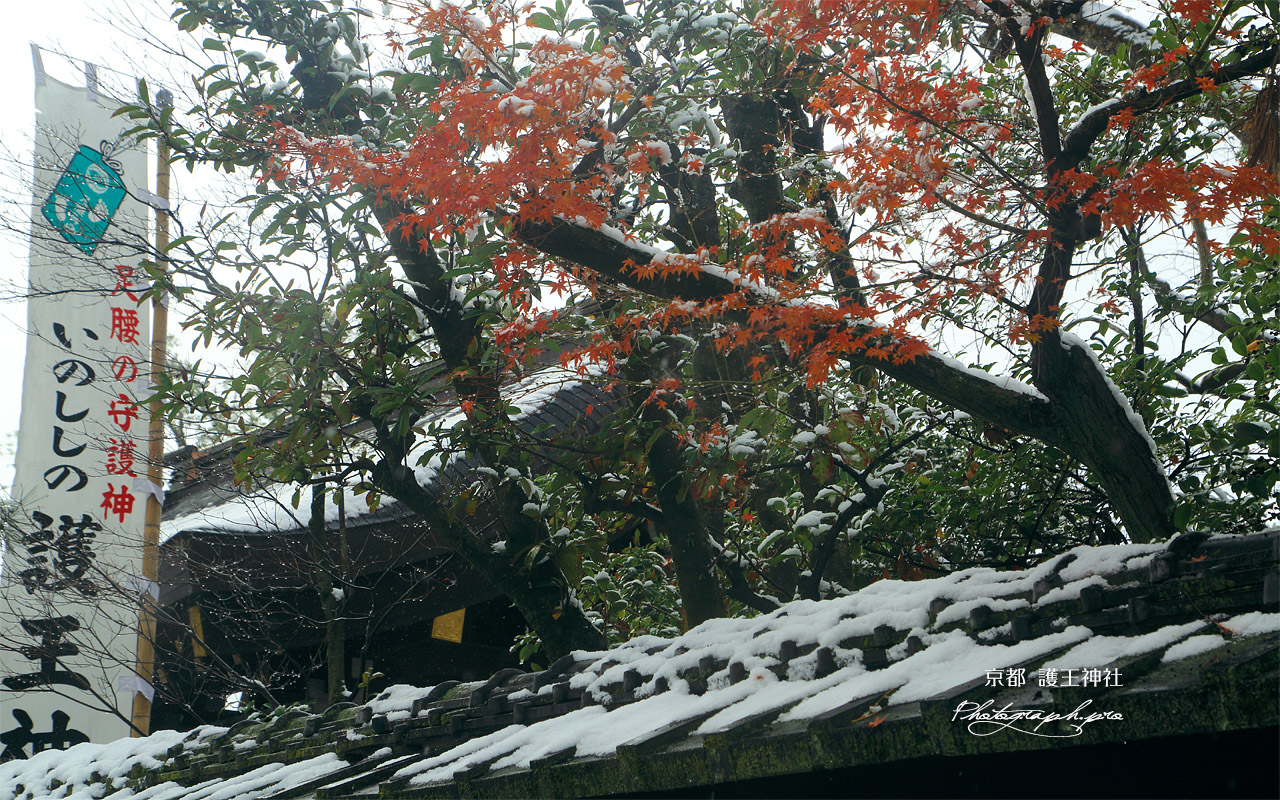 護王神社 雪もみじ 壁紙