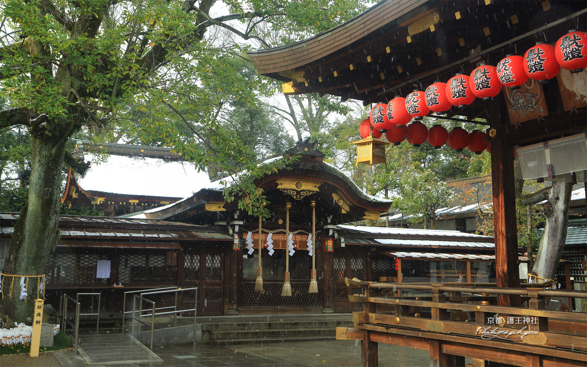 護王神社 降雪の社殿
