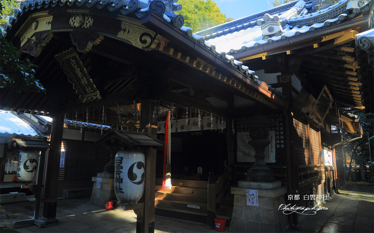 白雲神社 屋根雪の拝殿 壁紙