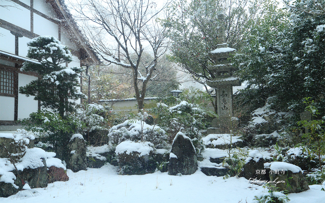小町寺 雪の庭園 壁紙