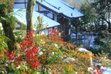 小町寺