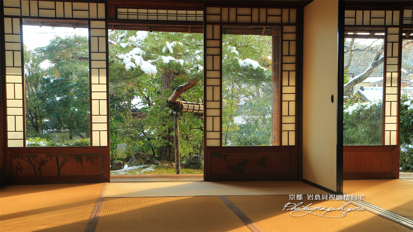 岩倉具視幽棲旧宅 座敷越しの雪松 壁紙
