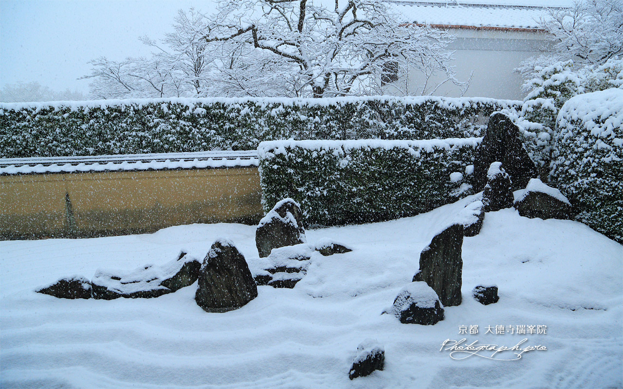 瑞峯院 雪降る独坐庭 壁紙