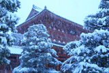 大徳寺