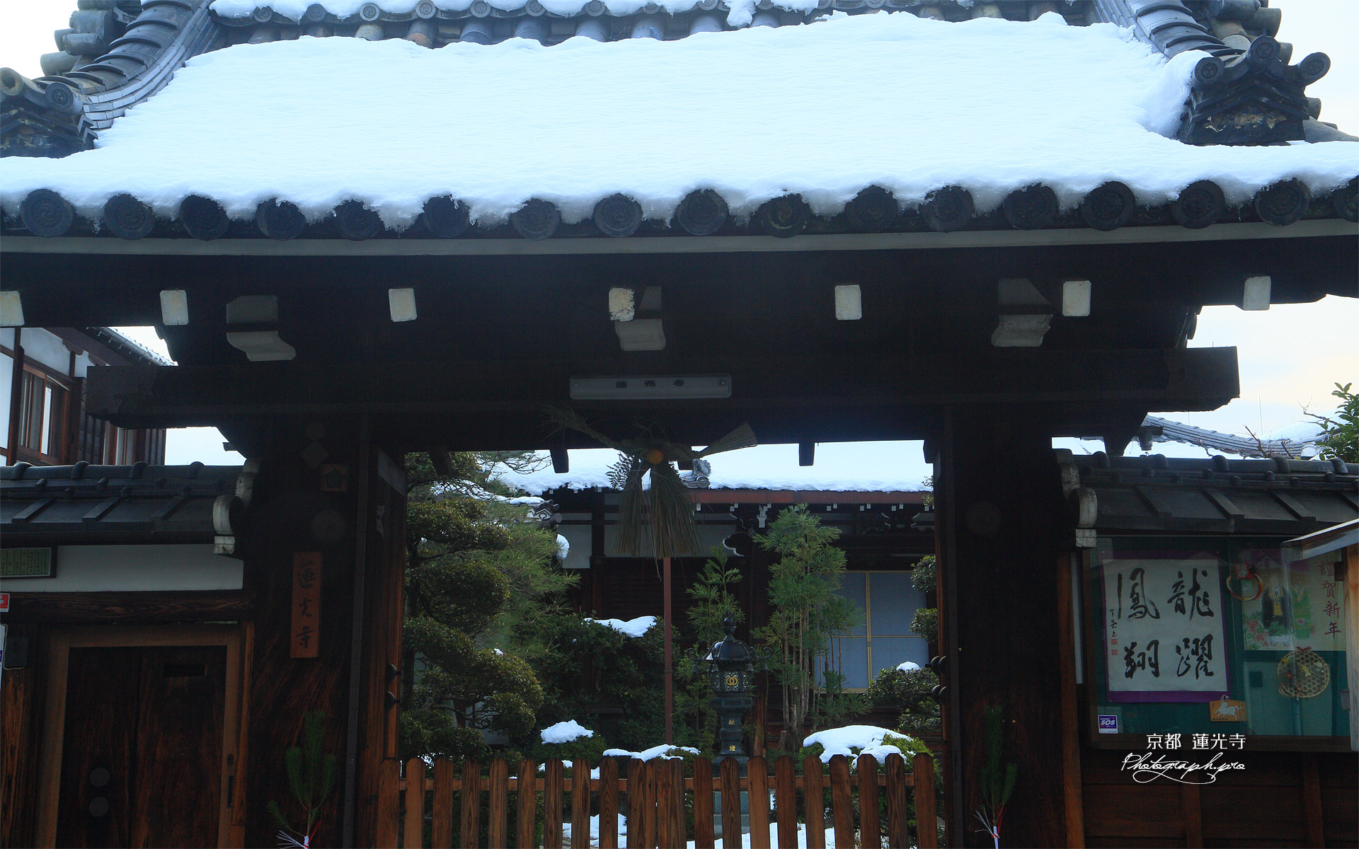 蓮光寺 屋根雪と松飾り