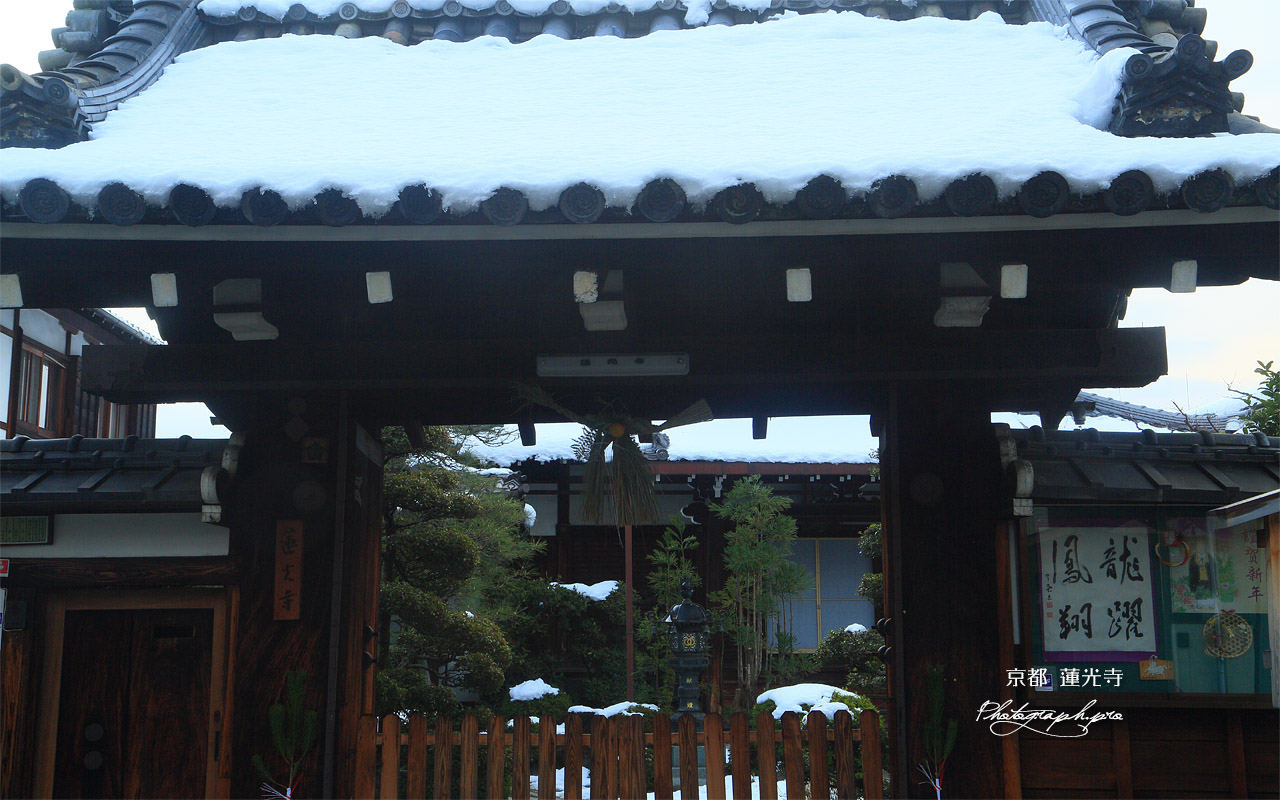 蓮光寺 屋根雪と松飾り 壁紙