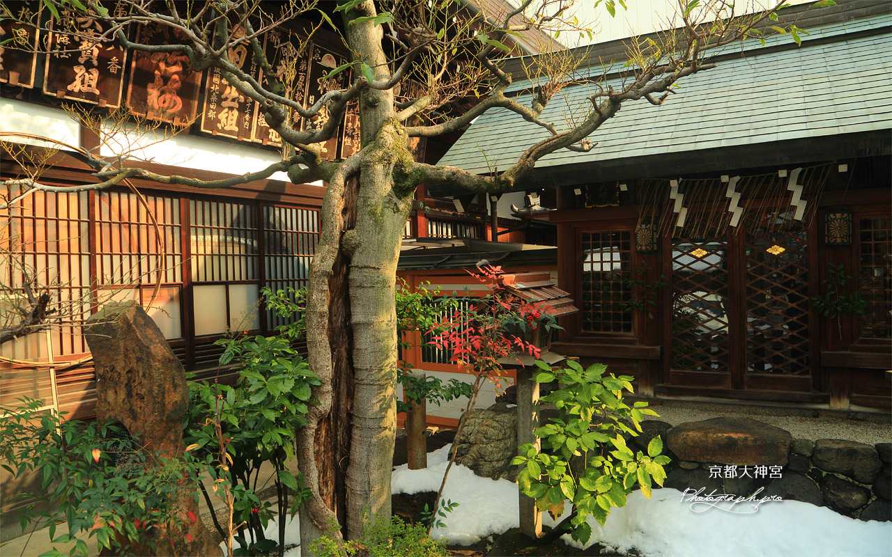 京都大神宮 残雪と祠 壁紙