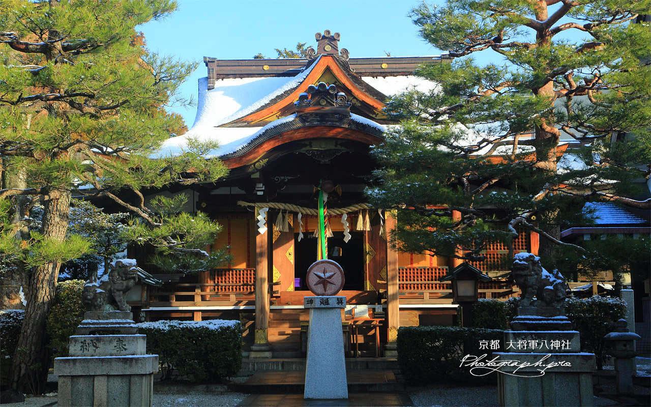 大将軍八神社 淡雪の拝殿 壁紙