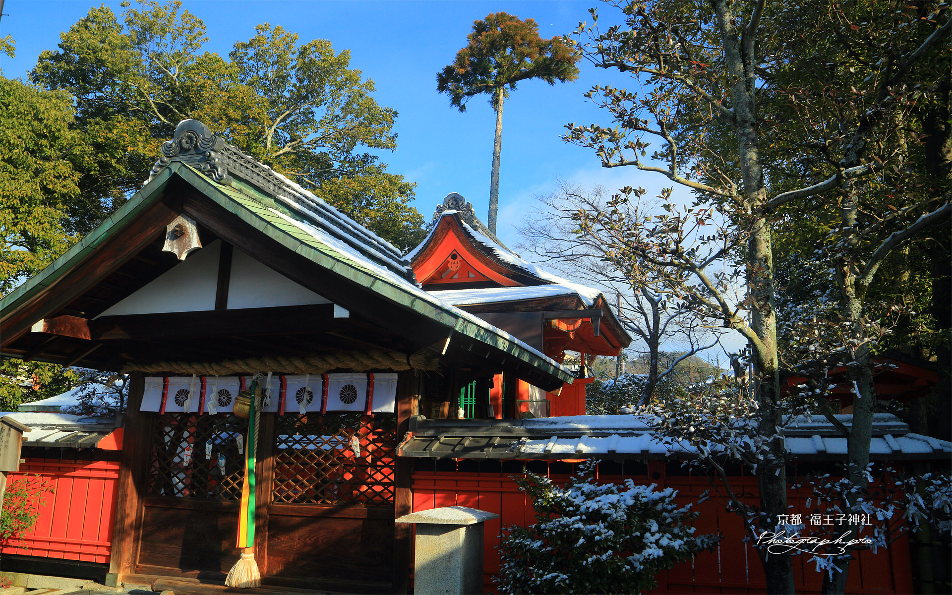 福王子神社 淡雪の本殿