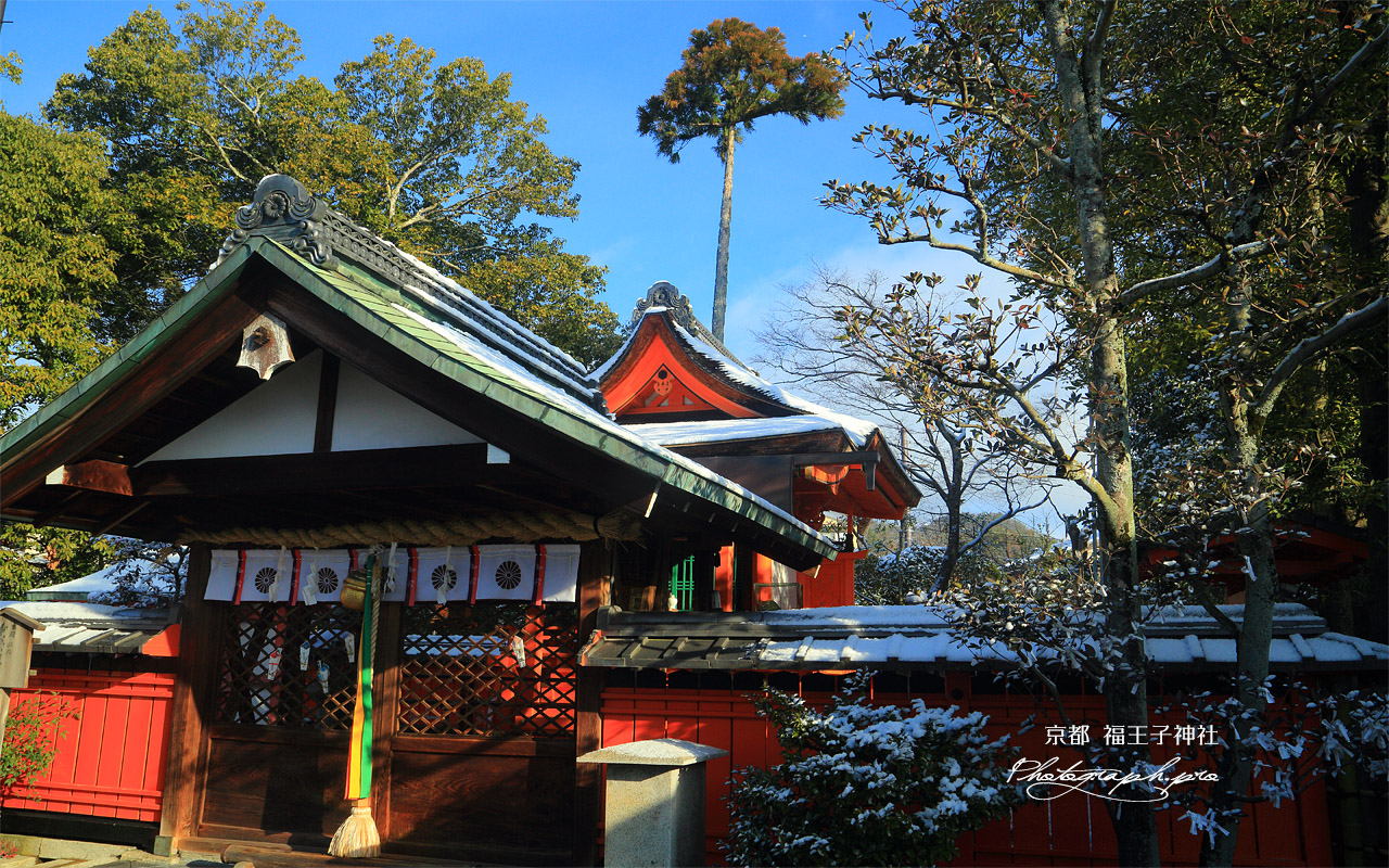 福王子神社 淡雪の本殿 壁紙