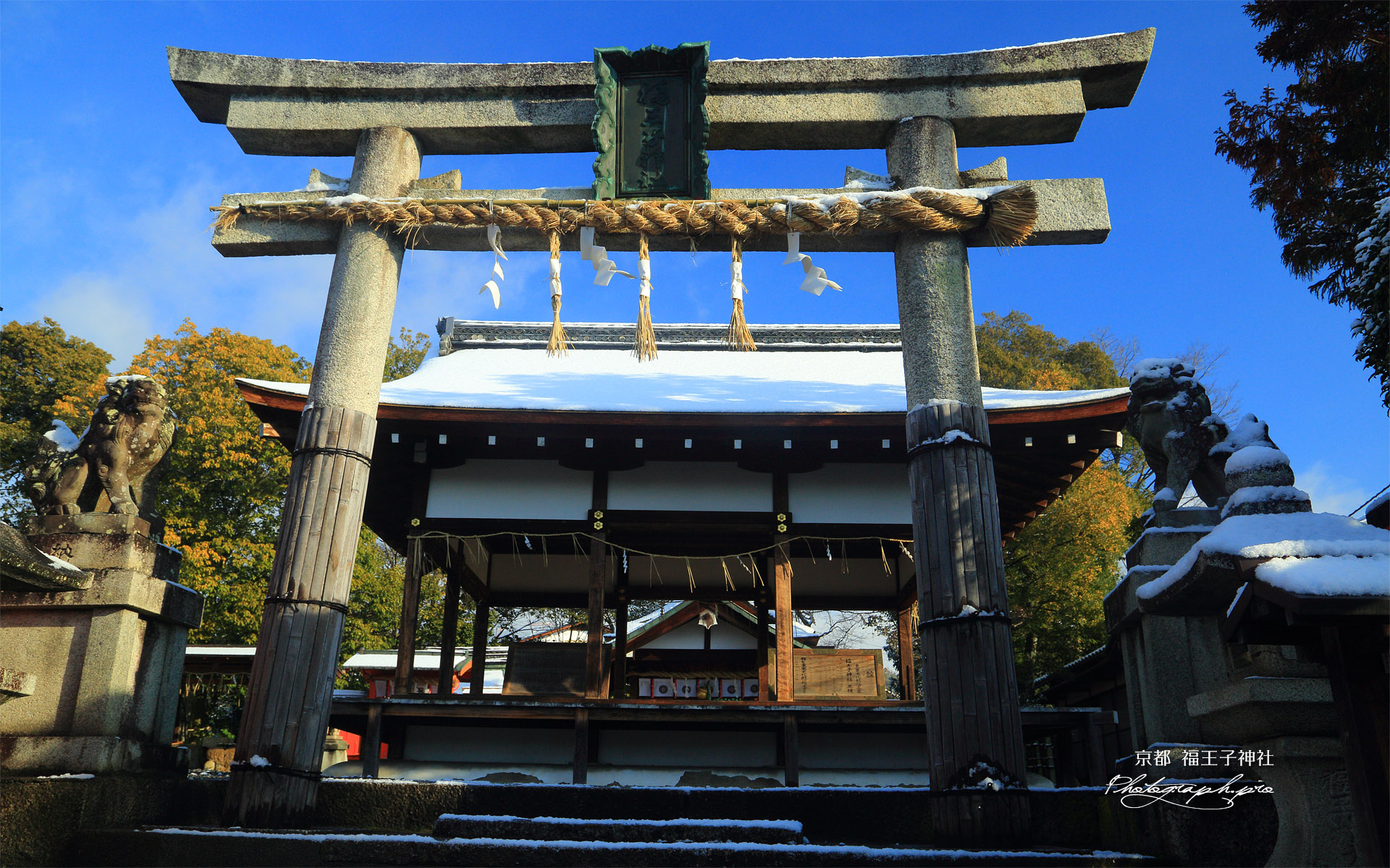 福王子神社 雪化粧した鳥居越し拝殿