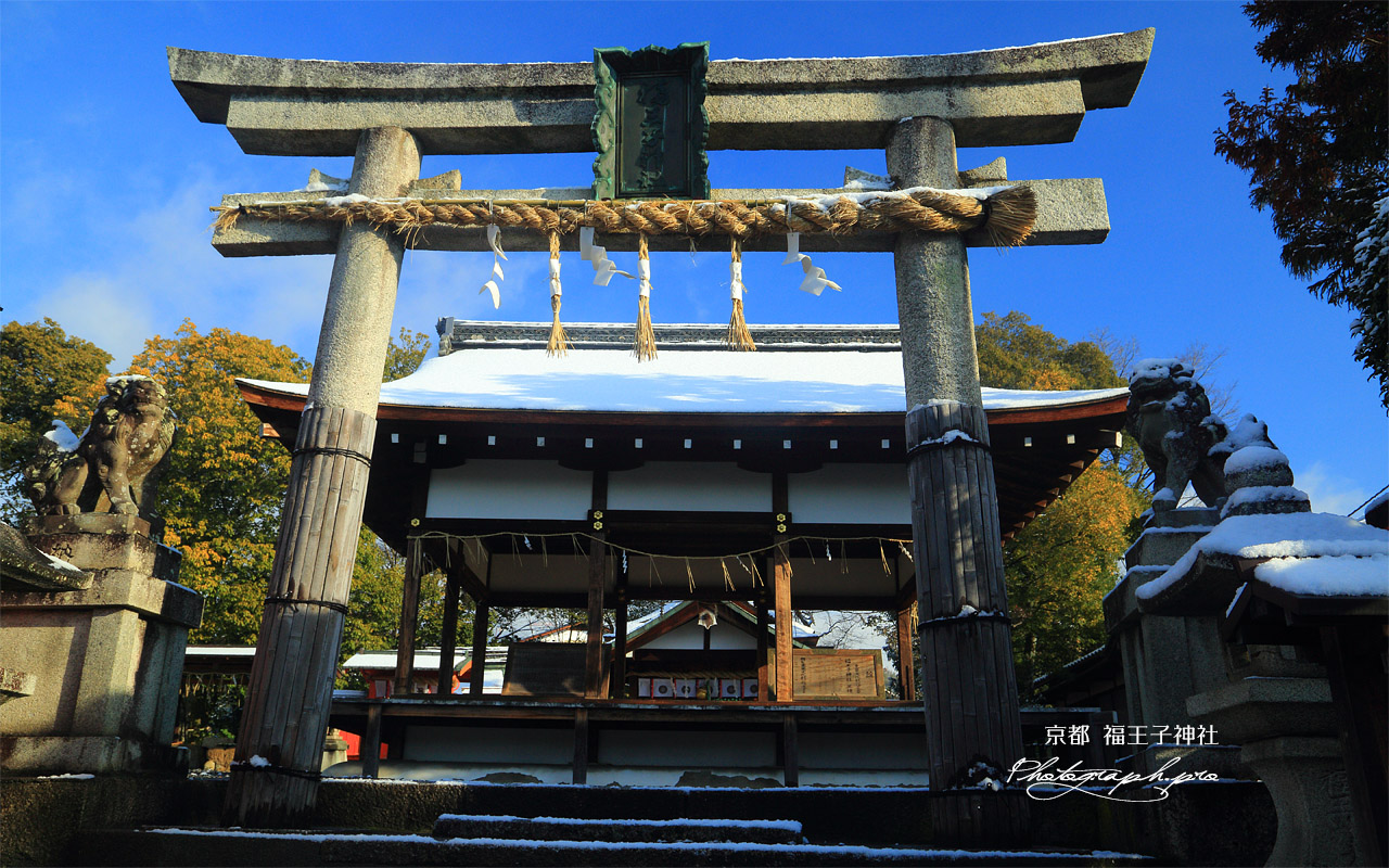 福王子神社 雪化粧した鳥居越し拝殿 壁紙
