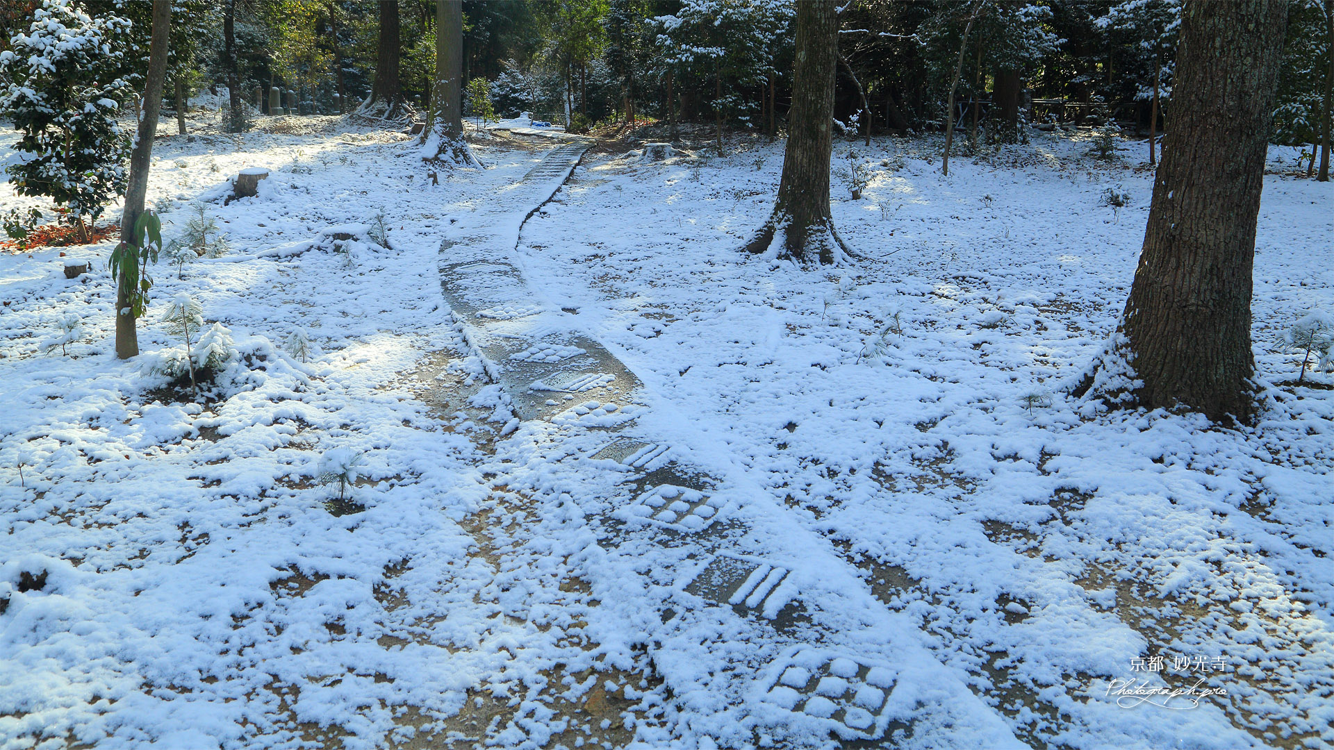 妙光寺 雪化粧の参道