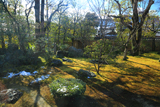 衡梅院 斑雪の方丈庭園
