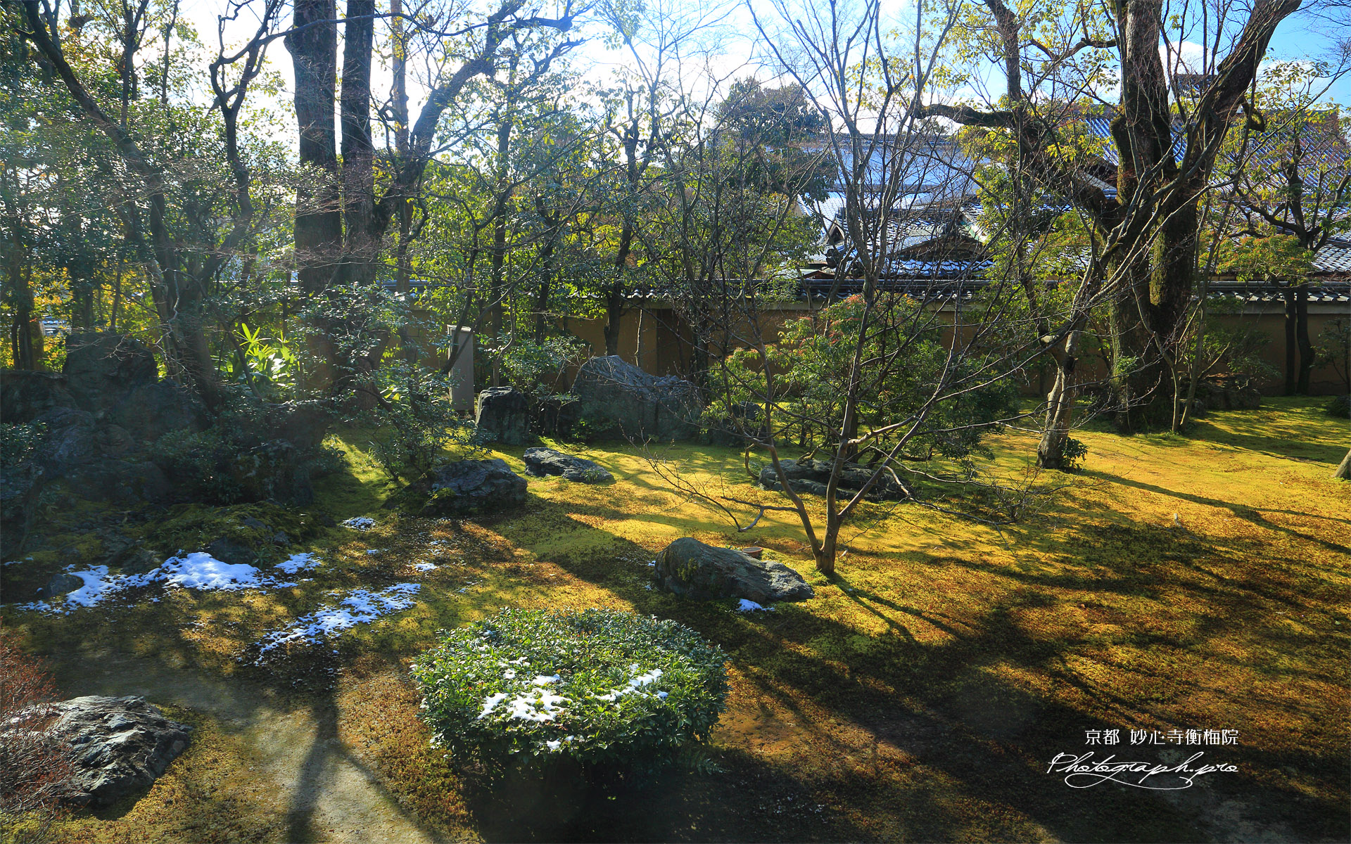 衡梅院 斑雪の方丈庭園