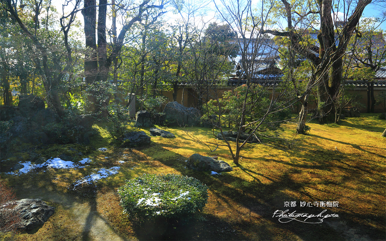 衡梅院 斑雪の方丈庭園 壁紙