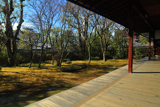衡梅院