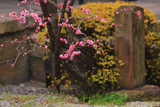 誠心院