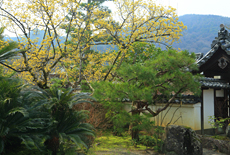 三秀院