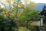 三秀院