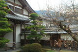 妙智院 白梅と庫裏