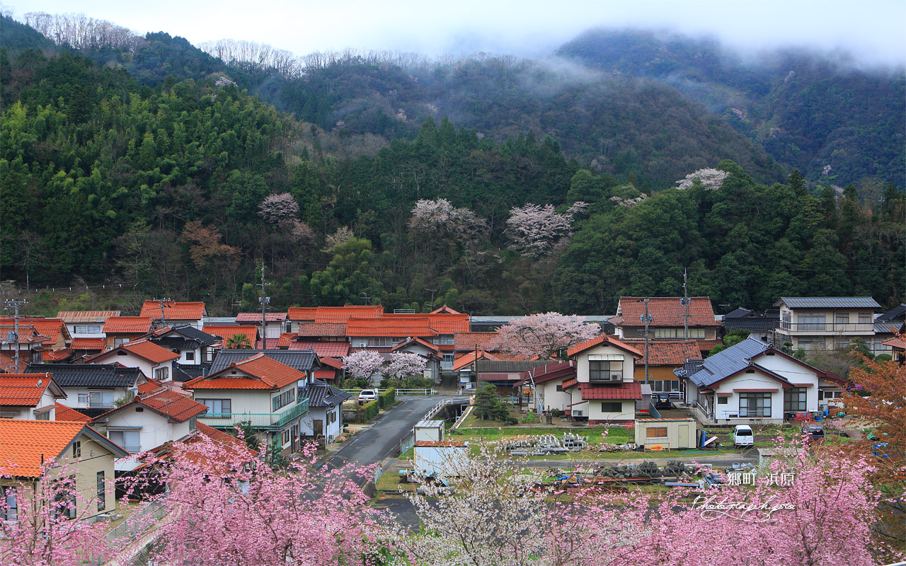三郷町 浜原 壁紙