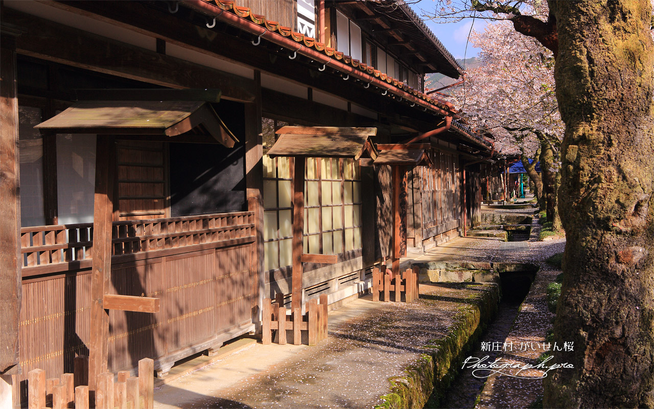 新庄宿の小川 壁紙