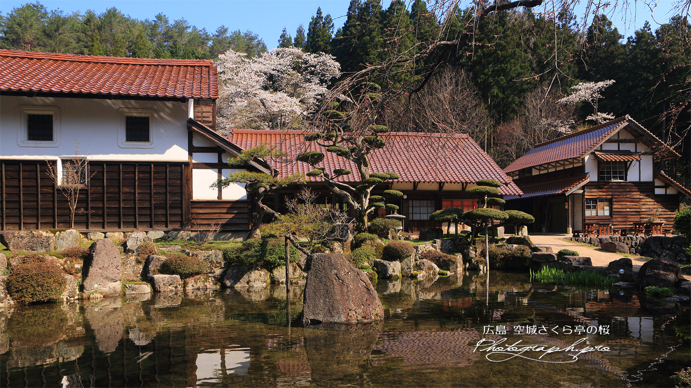 河野邸の桜 壁紙