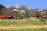 真庭市 東茅部