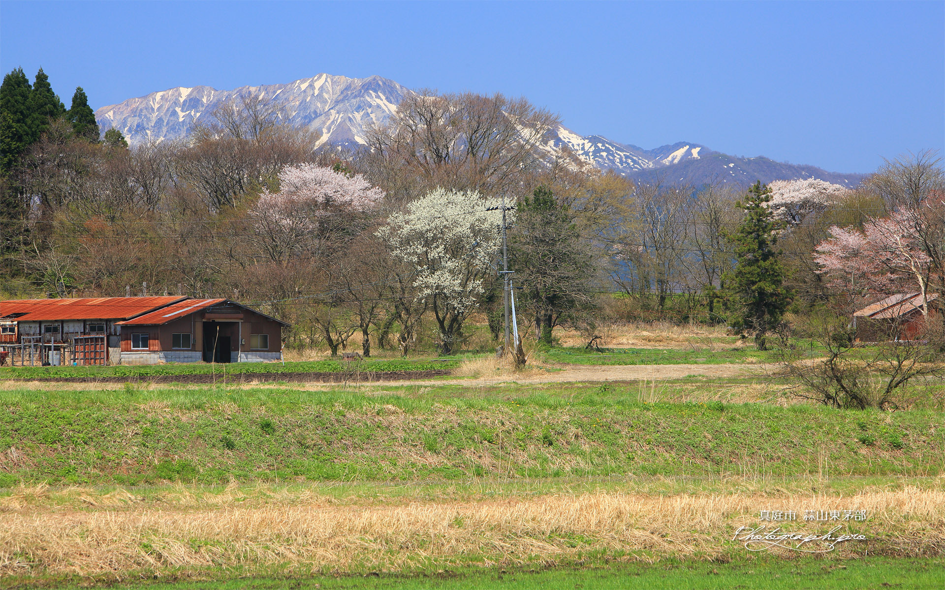 真庭市 東茅部
