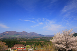 蒜山ハーブガーデンハービルの桜