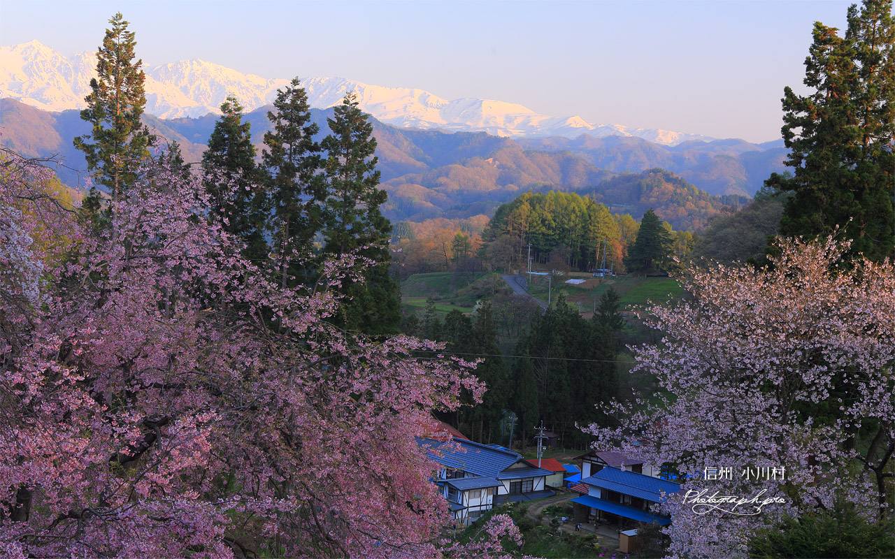 小川村 白馬連峰と表立屋集落 壁紙