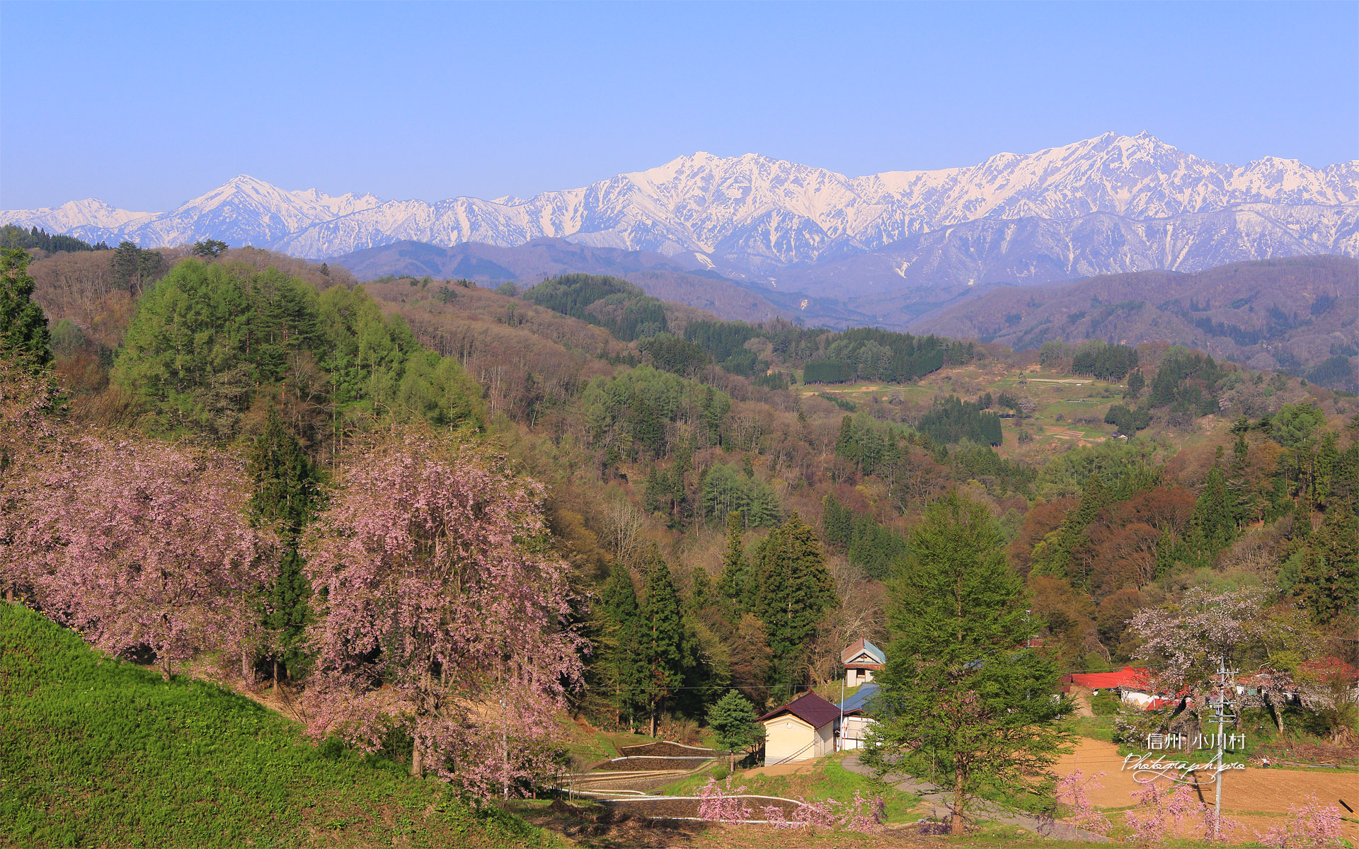 小川村 立屋展望広場から