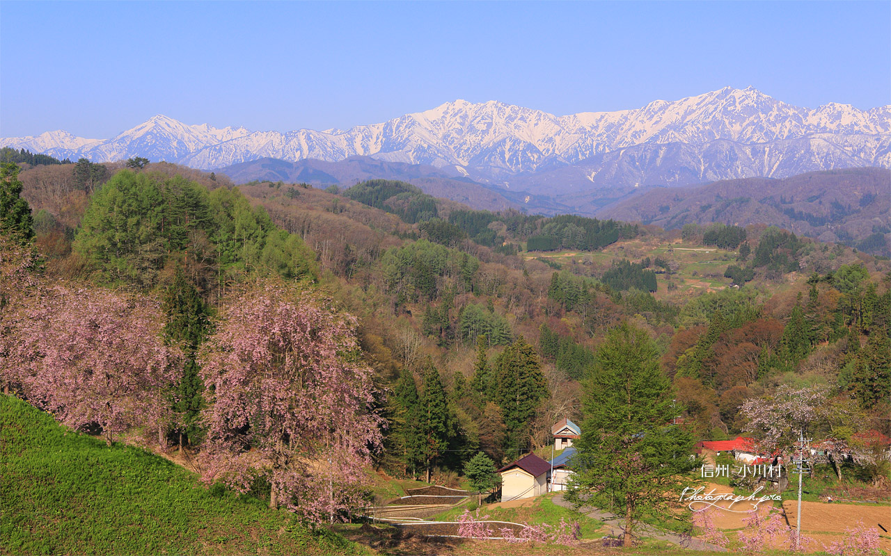 小川村 立屋展望広場から 壁紙