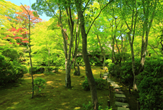 大河内山荘