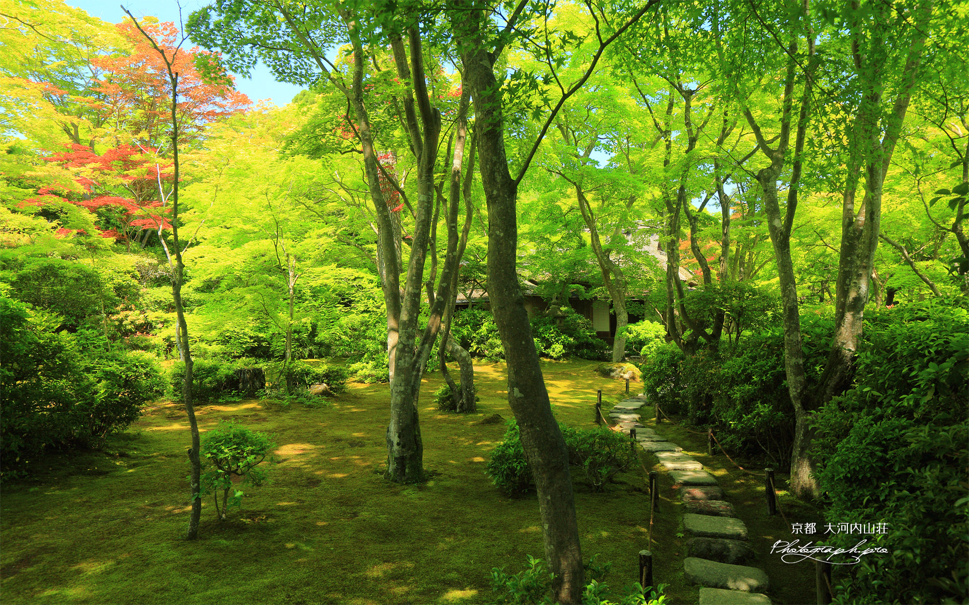 大河内山荘 新緑の滴水庵