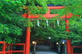 大田神社 鳥居と新緑