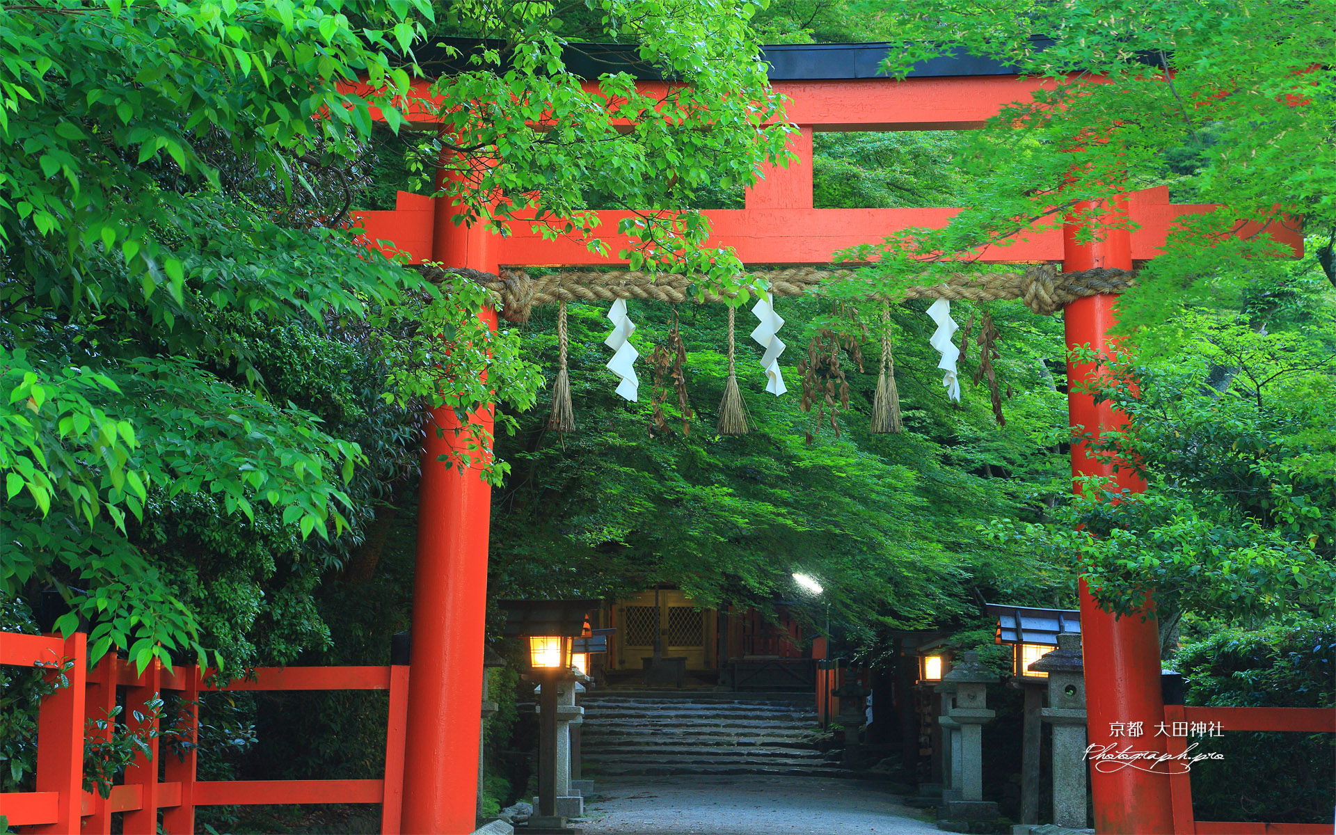 大田神社 鳥居と新緑