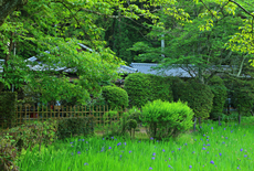 大田神社