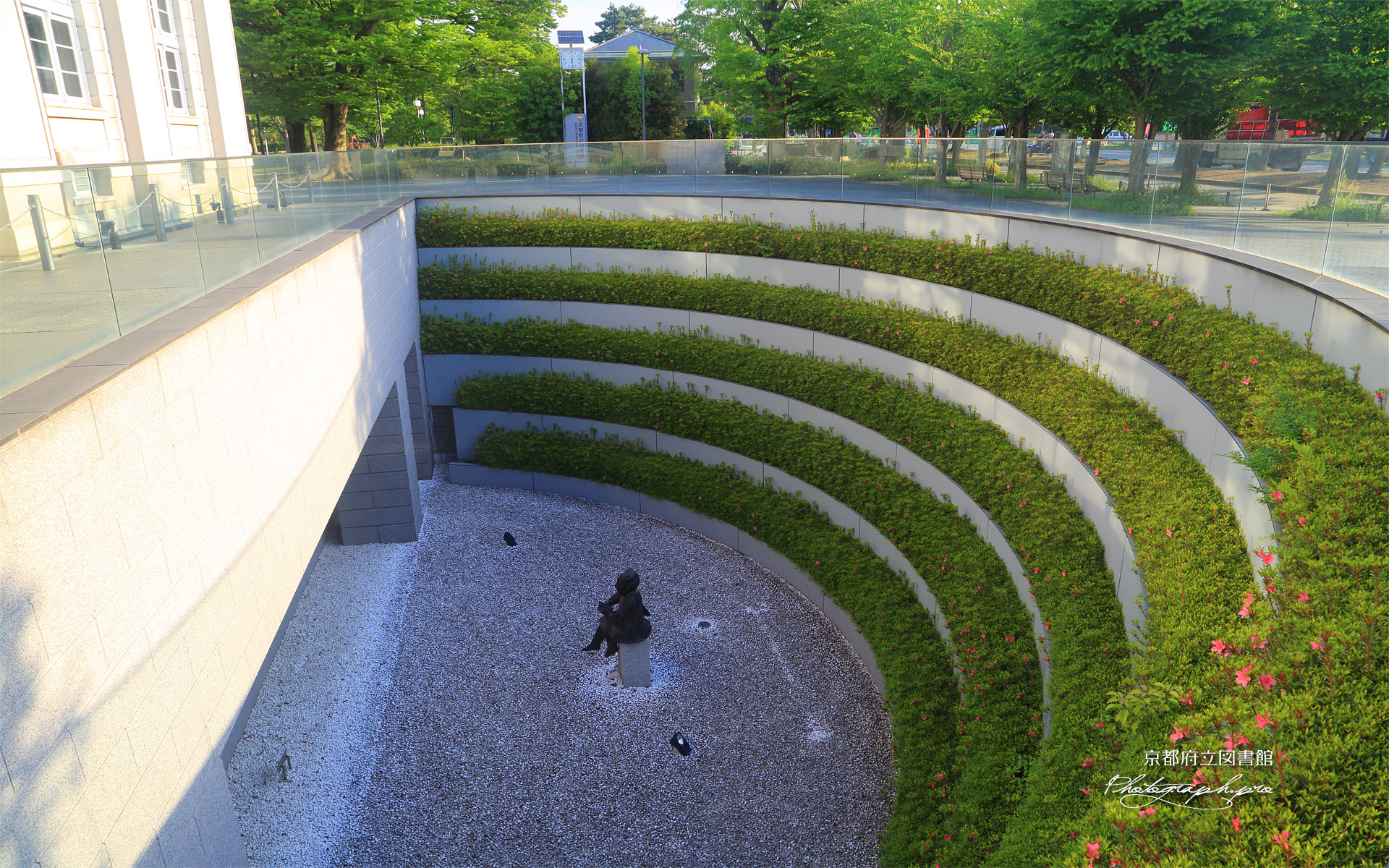 岡崎 サツキ開く府立図書館