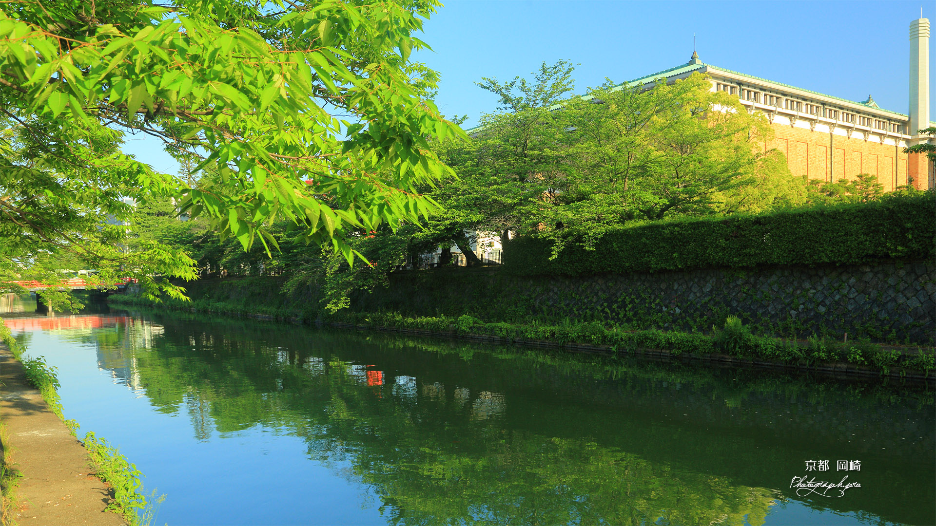 岡崎 新緑の疏水と京都市美術館