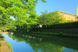 岡崎 新緑の疏水と京都市美術館
