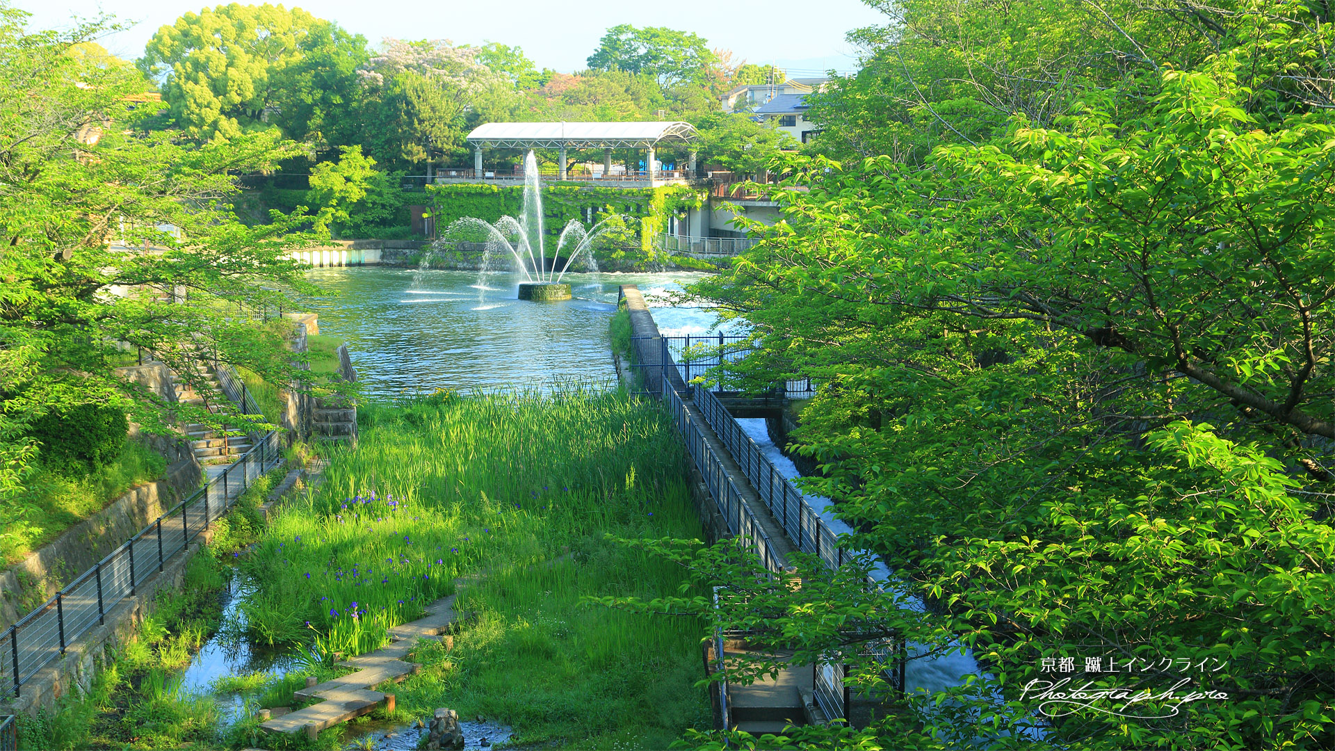 蹴上インクライン カキツバタと南禅寺船溜り